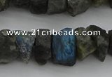 CNG1140 15.5 inches 8*12mm - 13*18mm nuggets labradorite beads