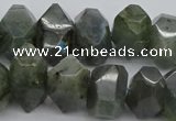 CNG1152 15.5 inches 10*14mm - 15*20mm faceted nuggets labradorite beads