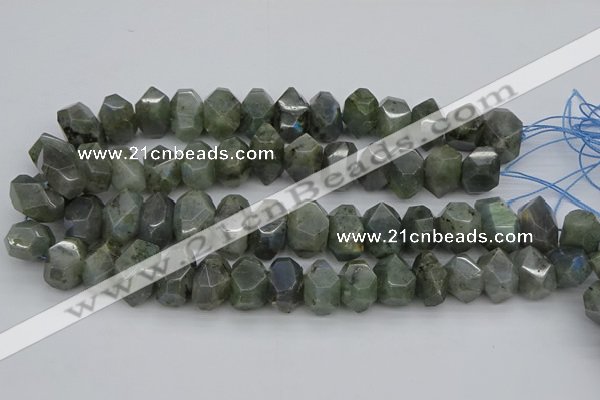 CNG1152 15.5 inches 10*14mm - 15*20mm faceted nuggets labradorite beads