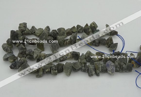 CNG1159 15.5 inches 8*12mm - 13*18mm nuggets labradorite beads