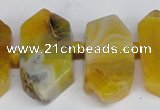 CNG1392 15.5 inches 15*25mm - 20*40mm wand agate gemstone beads