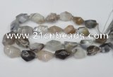 CNG1712 15.5 inches 15*20mm - 20*30mm nuggets botswana agate beads