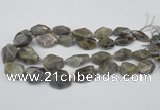 CNG1715 15.5 inches 15*20mm - 20*30mm nuggets labradorite beads