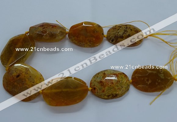 CNG2647 15.5 inches 30*38mm - 40*50mm freeform agate beads