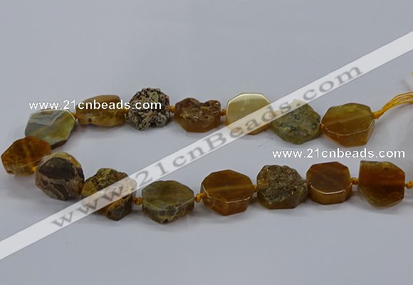 CNG2768 15.5 inches 20*22mm - 22*26mm freeform agate beads