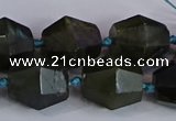 CNG2831 15.5 inches 13*15mm - 15*17mm faceted nuggets labradorite beads