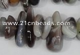 CNG316 15.5 inches 3*6mm - 5*22mm nuggets botswana agate beads