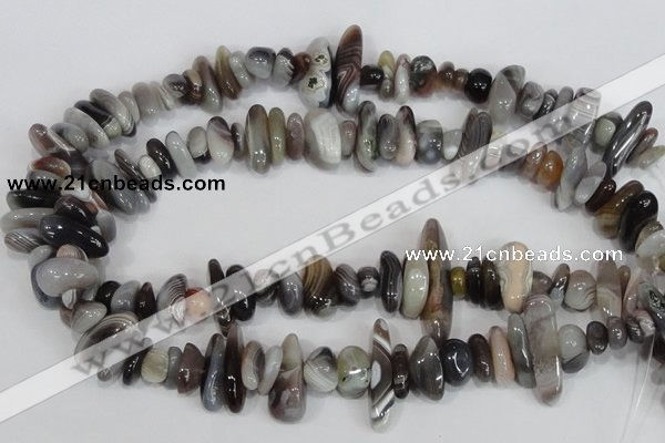 CNG316 15.5 inches 3*6mm - 5*22mm nuggets botswana agate beads