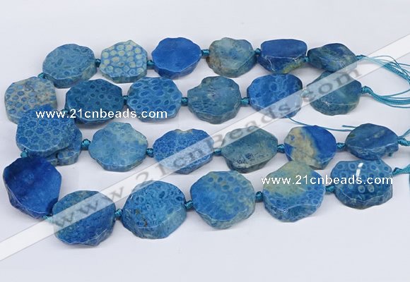 CNG3485 20*25mm - 30*35mm freeform chrysanthemum agate beads