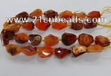 CNG3508 15.5 inches 15*20mm - 18*25mm faceted nuggets agate beads