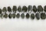 CNG3590 10*16mm - 15*30mm faceted nuggets labradorite beads