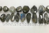 CNG3591 15*25mm - 25*35mm faceted nuggets labradorite beads