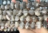 CNG3605 15.5 inches 13*20mm - 15*24mm faceted nuggets moonstone beads