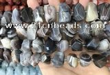 CNG3614 13*20mm - 15*24mm faceted nuggets Botswana agate beads