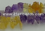 CNG5045 15.5 inches 4*8mm - 6*15mm nuggets amethyst & citrine beads