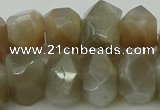 CNG5055 15.5 inches 13*18mm - 15*20mm faceted nuggets moonstone beads