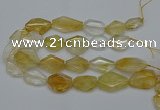 CNG5079 15.5 inches 20*30mm - 35*45mm freeform citrine beads