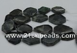 CNG5081 15.5 inches 20*30mm - 35*45mm freeform labradorite beads