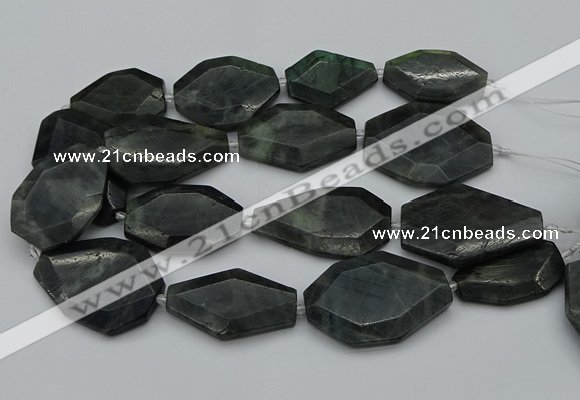 CNG5081 15.5 inches 20*30mm - 35*45mm freeform labradorite beads