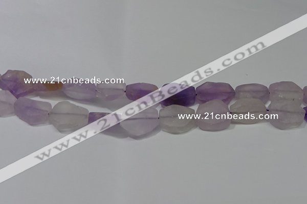 CNG5117 15.5 inches 14*20mm - 18*25mm freeform matte amethyst beads