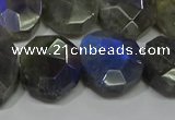 CNG5144 15.5 inches 15*18mm - 15*20mm faceted freeform labradorite beads