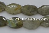 CNG5253 15.5 inches 13*18mm - 15*20mm faceted freeform labradorite beads