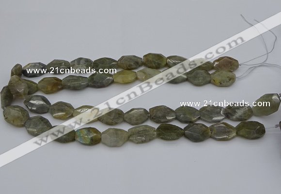 CNG5253 15.5 inches 13*18mm - 15*20mm faceted freeform labradorite beads