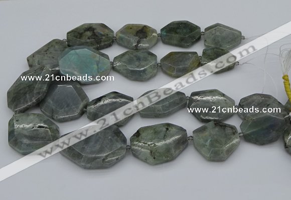 CNG5254 15.5 inches 22*30mm - 35*45mm faceted freeform labradorite beads