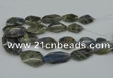 CNG5255 15.5 inches 22*30mm - 35*45mm faceted freeform labradorite beads