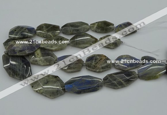 CNG5255 15.5 inches 22*30mm - 35*45mm faceted freeform labradorite beads