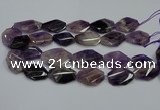 CNG5264 20*30mm - 22*35mm faceted freeform dogtooth amethyst beads