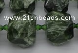 CNG5278 15.5 inches 13*18mm - 15*25mm faceted nuggets seraphinite beads