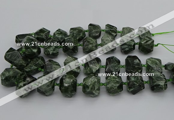 CNG5278 15.5 inches 13*18mm - 15*25mm faceted nuggets seraphinite beads