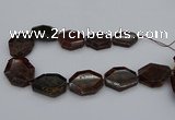 CNG5313 15.5 inches 20*30mm - 35*45mm freeform orange garnet beads