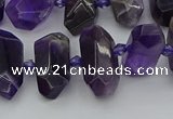 CNG5365 15.5 inches 12*16mm - 15*25mm faceted nuggets amethyst beads