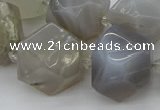 CNG5391 15.5 inches 10*14mm - 20*25mm faceted nuggets agate beads