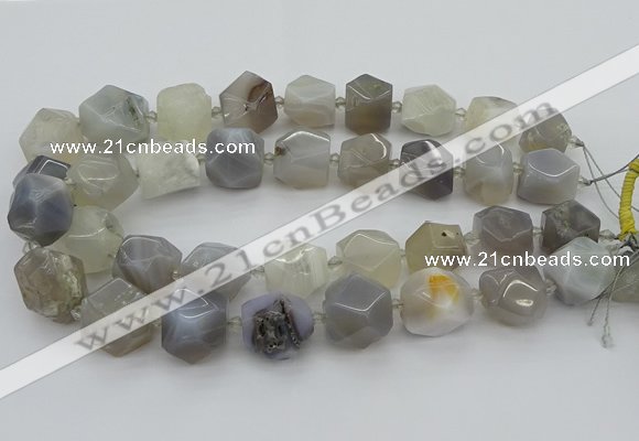 CNG5391 15.5 inches 10*14mm - 20*25mm faceted nuggets agate beads