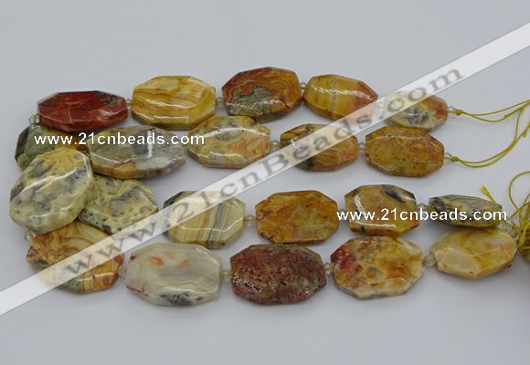 CNG5423 20*30mm - 35*45mm faceted freeform crazy lace agate beads