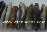 CNG5432 5*20mm - 8*25mm nuggets botswana agate gemstone beads