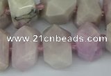 CNG5447 15.5 inches 12*16mm - 15*20mm faceted nuggets kunzite beads