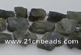 CNG5527 15.5 inches 6*8mm - 10*15mm nuggets labradorite beads