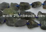 CNG5528 15.5 inches 10*14mm - 15*20mm nuggets labradorite beads