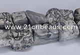 CNG5541 15.5 inches 10*14mm - 12*16mm nuggets grey picture jasper beads