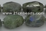 CNG5586 12*16mm - 15*25mm faceted nuggets labradorite beads