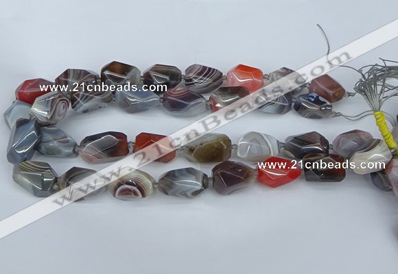 CNG5681 12*16mm - 15*25mm faceted nuggets botswana agate beads