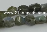 CNG5753 15.5 inches 10*12mm - 12*16mm faceted nuggets labradorite beads