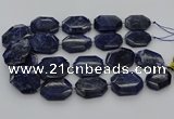 CNG5765 15.5 inches 20*30mm - 35*45mm faceted freeform sodalite beads