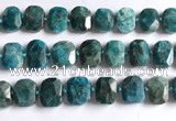 CNG5789 15.5 inches 13*18mm - 15*20mm faceted freeform apatite beads