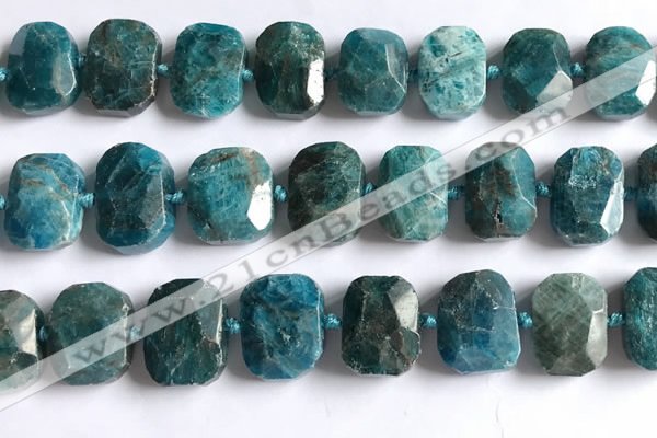 CNG5789 15.5 inches 13*18mm - 15*20mm faceted freeform apatite beads