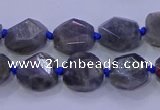 CNG5790 10*12mm - 10*14mm faceted freeform labradorite beads